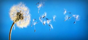 Hypnotherapy-opt501